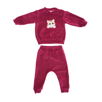 Костюм велюровий Twins з вишивкою Котик та Собачка, р.74, фуксія (W-120-КWKS74-27) - Pampik