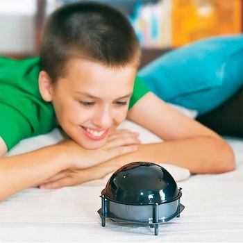 Ігровий набір навчальний Eurekakids Розумний робот (96003272/33965) - Pampik - 4