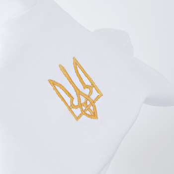 Футболка Garnamama Ukraine t-shirt teenagers вышивка 146-152 Белый (914326.1266101) - Pampik - 8