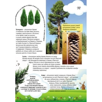 Велика енциклопедія молодшого школяра. Все про все - Яна Батій (Р900879У) - Pampik - 6