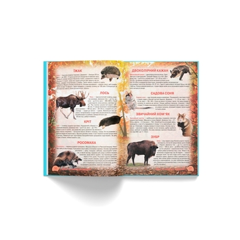 Ілюстрований атлас живої природи (F00014008) - Pampik - 7