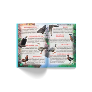 Ілюстрований атлас живої природи (F00014008) - Pampik - 11