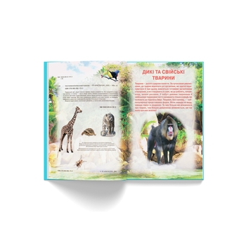 Ілюстрований атлас живої природи (F00014008) - Pampik - 4