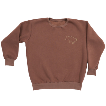 Свитшот Twins утепленный с вышивкой, р.S, Caramel, коричневый (W-202-ST-S-07) - Pampik