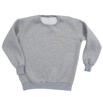 Свитшот Twins утепленный с вышивкой, р.S, grey, серый (W-202-ST-S-10) - Pampik