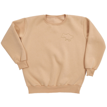Світшот Twins утеплений з вишивкою, р.S, beige, бежевий (W-202-ST-S-02) - Pampik