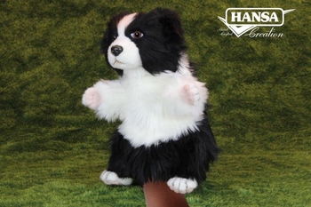 Мягкая игрушка на руку Hansa Puppet Бордер-колли, 30 см (8349) - Pampik - 2