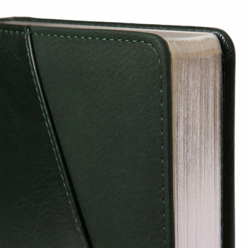 Щоденник Leo Planner Whisky А5, датований 2026, 368 сторінок, зелений (252669) - Pampik - 3