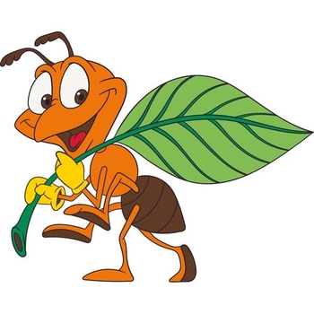 Детская раскраска ArtCraft Муравей 25х30 см (15044-AC) - Pampik