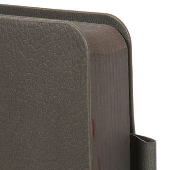 Щоденник Leo Planner Binario А5, датований 2026, 368 сторінок, графітовий (252640) - Pampik - 3