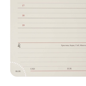 Щоденник Leo Planner Bruno, А6, датований 2026, 352 сторінки, сірий (252704) - Pampik - 13