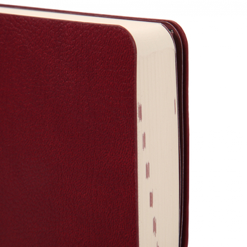 Щоденник Leo Planner Alpha, датований 2026, 12х20 см, 352 сторінки, бордовий (252630) - Pampik - 4