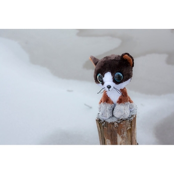 Мягкая игрушка Lumo Stars Кот Forest, 15 см (54990) - Pampik - 2