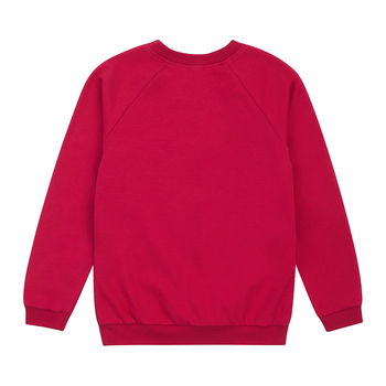Реглан Garnamama Basic Sweatshirt інтерлок 128 Рожевий (1075172.1327827) - Pampik - 2