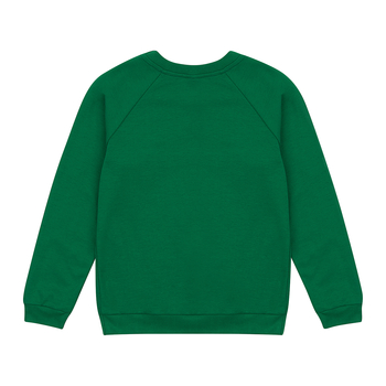 Реглан Garnamama Basic Sweatshirt интерлок 122 Зеленый (1075159.1327826) - Pampik - 2