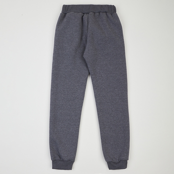 Спортивные штаны на флисе Garnamama Pants girl Butterflies 158 Серый (969699.1312416) - Pampik - 2