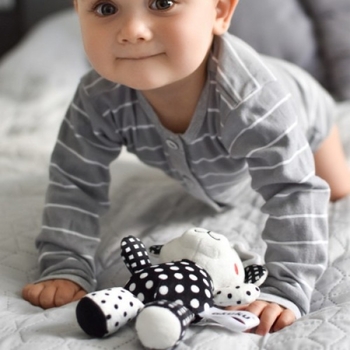 Игрушка-подвеска Akuku Медвежонок, черно-белый (A0470) - Pampik - 3