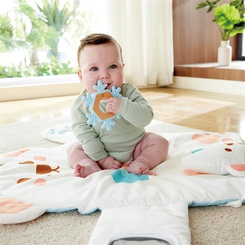 Развивающий коврик Hape Полярный мишка (E0074) - Pampik - 4