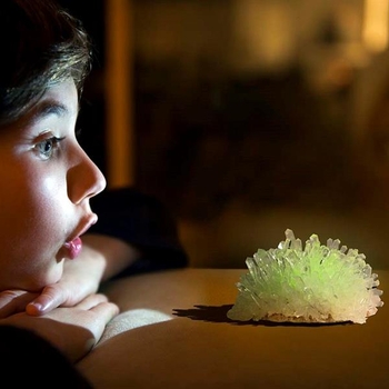 Набір для вирощування світних кристалів 4M (00-03918/EU/ML) - Pampik - 4