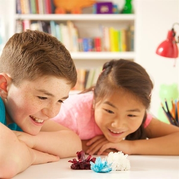 Набір для дослідів із кристалами 4M (00-03915/EU/ML) - Pampik - 7