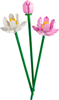Конструктор LEGO Botanicals Квіти лотоса 220 деталей (40647) - Pampik - 4