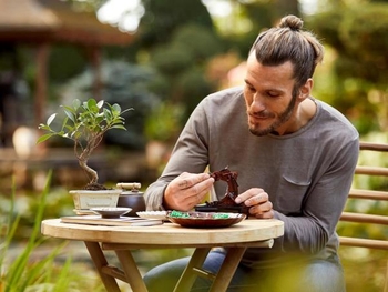 Конструктор LEGO Botanicals Дерево бонсай 878 деталей (10281) - Pampik - 3