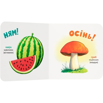 Розглядайка-розвивайка. Пори року - Катерина Столяренко (F00032536) - Pampik - 5