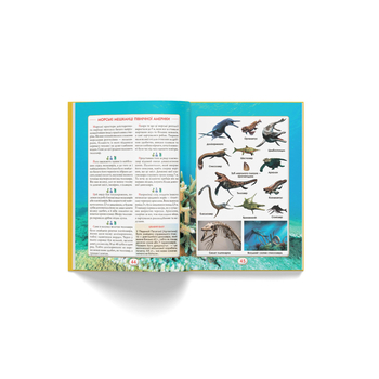 Ви маєте це знати. Динозаври (F00032326) - Pampik - 7