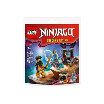 Конструктор LEGO NINJAGO Арін проти Дракона: Битва, 48 деталей (30700) - Pampik