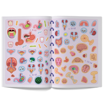 Меганаліпки. Тіло людини (F00023548) - Pampik - 8