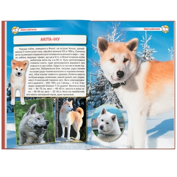 Енциклопедія. Собаки (F00028100) - Pampik - 9