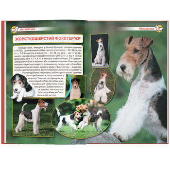 Енциклопедія. Собаки (F00028100) - Pampik - 6