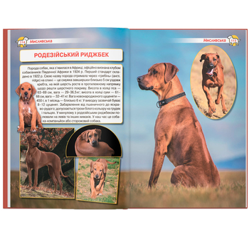 Енциклопедія. Собаки (F00028100) - Pampik - 7