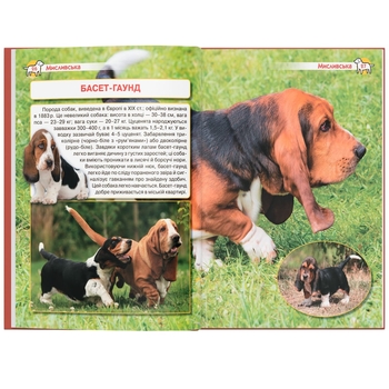 Енциклопедія. Собаки (F00028100) - Pampik - 10