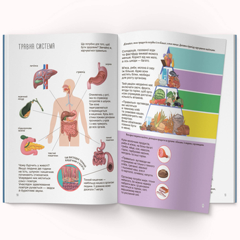 Книжка з наліпками. Тіло людини (F00027785) - Pampik - 3