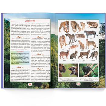 Ви маєте це знати. Світ звірів (F00031321) - Pampik - 5