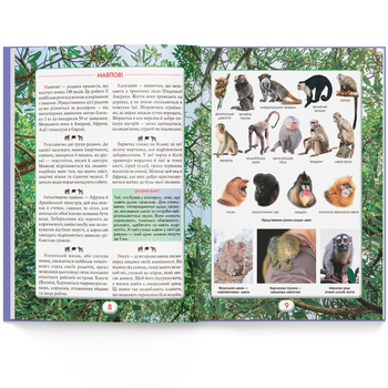 Ви маєте це знати. Світ звірів (F00031321) - Pampik - 7