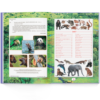 Ви маєте це знати. Світ звірів (F00031321) - Pampik - 9