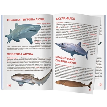 Світ навколо нас. Велика книжка. Акули (F00018784) - Pampik - 4