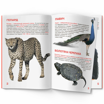 Світ навколо нас. Велика книжка. Рекорди тваринного світу (F00017392) - Pampik - 2