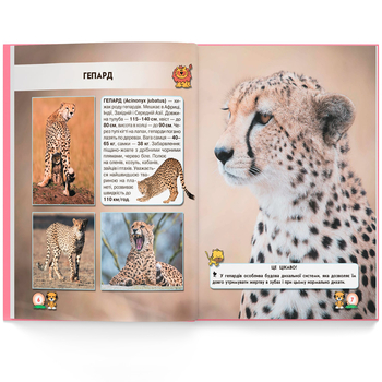 Фотоенциклопедія. Світ навколо нас. Великі кішки (F00021260) - Pampik - 8