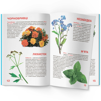 Світ навколо нас. Велика книжка. Рослинний світ України (F00012692) - Pampik - 5