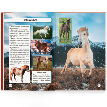 Фотоенциклопедія. Світ навколо нас. Коні (F00021087) - Pampik - 9