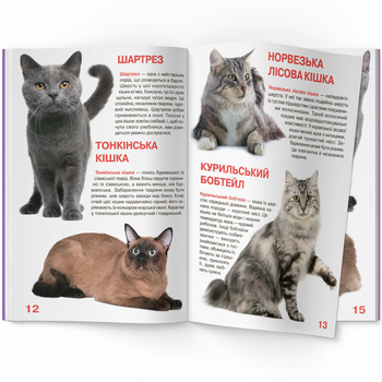 Світ навколо нас. Велика книжка. Кішки (F00013018) - Pampik - 4