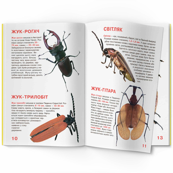 Світ навколо нас. Велика книжка. Жуки (F00018115) - Pampik - 2