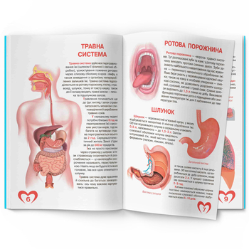 Світ навколо нас. Велика книжка. Анатомія людини (F00014783) - Pampik - 5
