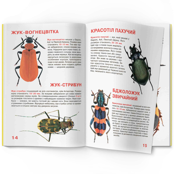 Світ навколо нас. Велика книжка. Жуки (F00018115) - Pampik - 3