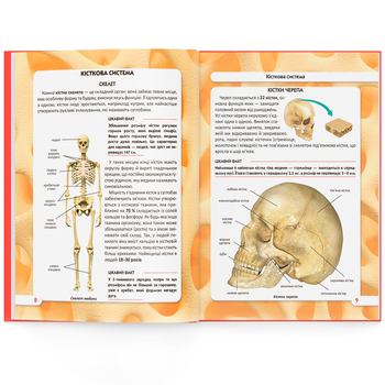 Фотоенциклопедія. Світ навколо нас. Тіло людини (F00022588) - Pampik - 6