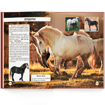 Фотоенциклопедія. Світ навколо нас. Коні (F00021087) - Pampik - 6