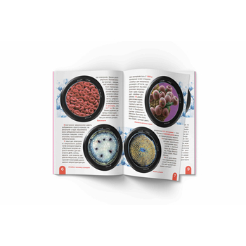 Світ навколо нас. Велика книжка. Мікросвіт (F00018772) - Pampik - 3